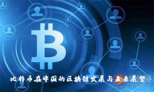 比特币在中国的区块链发展与未来展望