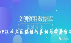 SETL币上区块链的真相与前景分析