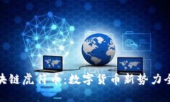 : 区块链虎符币:数字货币新势力全解析