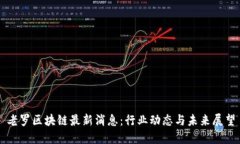 老罗区块链最新消息:行业动态与未来展望