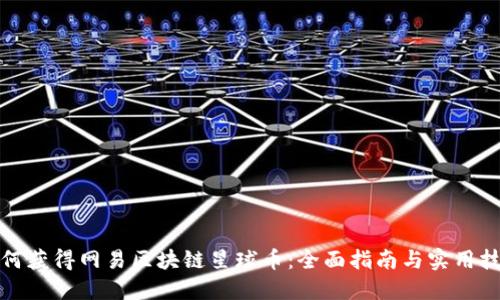 如何获得网易区块链星球币:全面指南与实用技巧