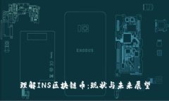 理解INS区块链币:现状与未来展望