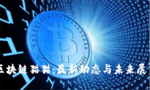 区块链猫猫:最新动态与未来展望