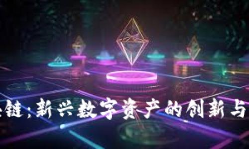 海币区块链:新兴数字资产的创新与发展前景