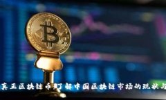 国内真正区块链币:了解中国区块链市场的现状