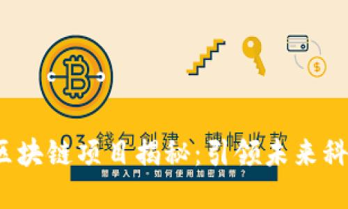 2023年最新十大区块链项目揭秘:引领未来科技趋势的先锋力量