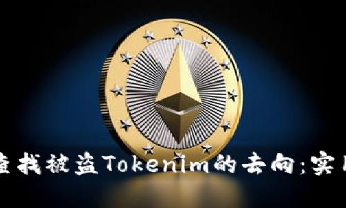 如何查找被盗Tokenim的去向：实用指南