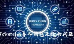 如何解决Tokenim导入钱包无效的问题：详尽指南
