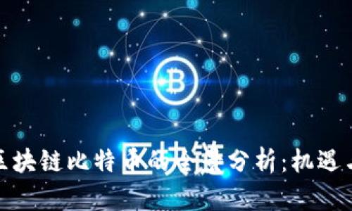 投资区块链比特币的全景分析：机遇与挑战