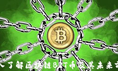 
深入了解区块链BRT币及其未来前景