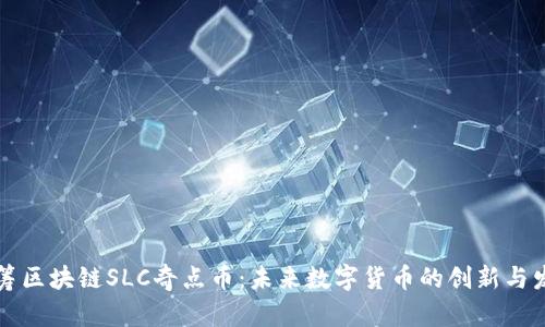众筹区块链SLC奇点币:未来数字货币的创新与发展