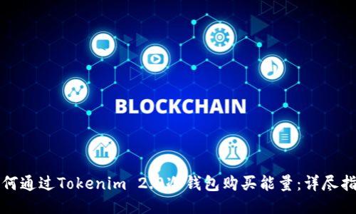 如何通过Tokenim 2.0冷钱包购买能量：详尽指南