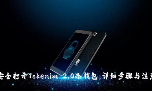 如何安全打开Tokenim 2.0冷钱包：详细步骤与注意事项