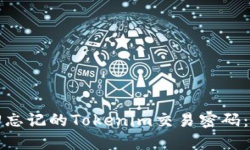 如何找回忘记的Tokenim交易密码：完整指南