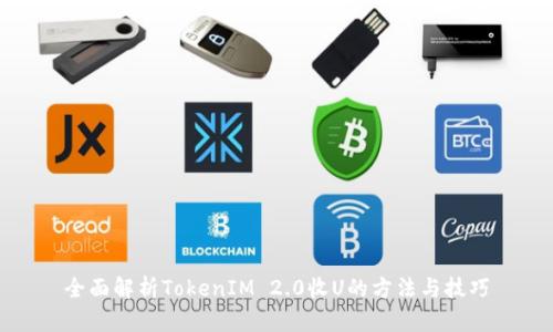 全面解析TokenIM 2.0收U的方法与技巧