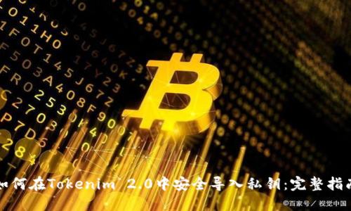 如何在Tokenim 2.0中安全导入私钥:完整指南
