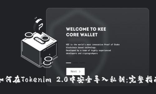 如何在Tokenim 2.0中安全导入私钥:完整指南