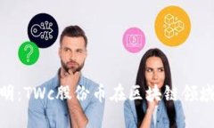 推动创新与透明:TWc股份币在区块链领域的革命
