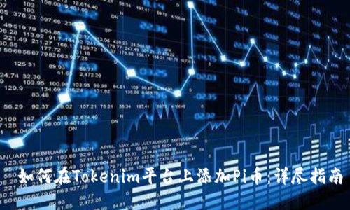  如何在Tokenim平台上添加Pi币：详尽指南