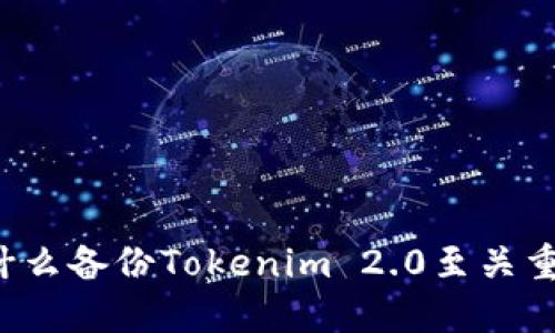 为什么备份Tokenim 2.0至关重要?