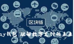 t0pay钱包:破解数字支付的未来之路