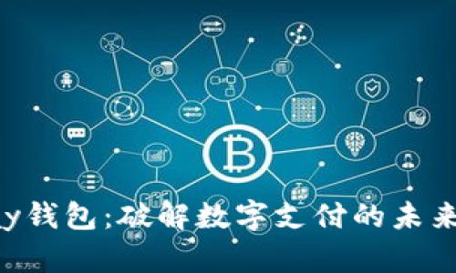 t0pay钱包:破解数字支付的未来之路