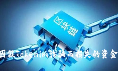 如何追回因假Tokenim诈骗而损失的资金：详细指南