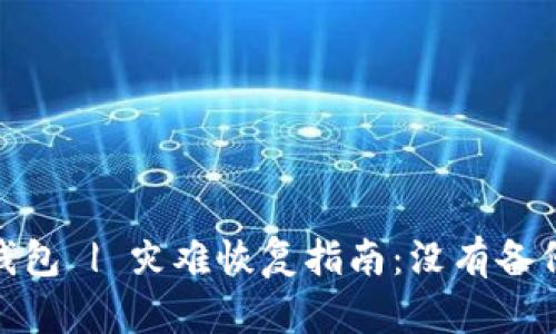 Tokenim 2.0钱包 | 灾难恢复指南:没有备份也能找回资产
