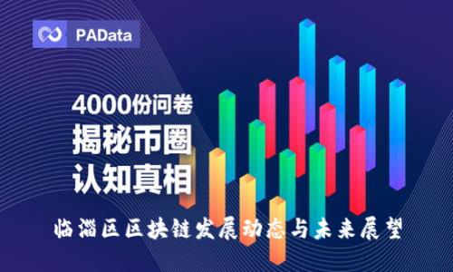 临淄区区块链发展动态与未来展望