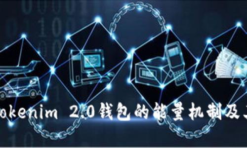 深入解析Tokenim 2.0钱包的能量机制及其应用价值