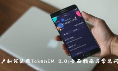 大陆用户如何使用TokenIM 2.0:全面指南与常见问题
