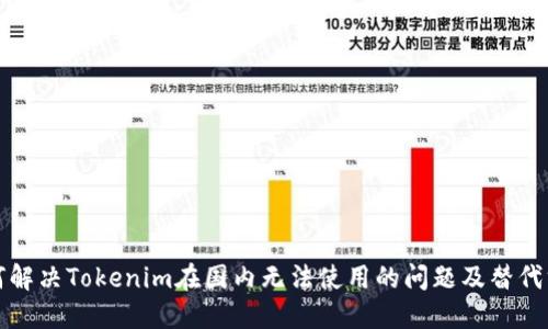 如何解决Tokenim在国内无法使用的问题及替代方案