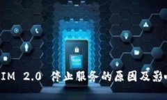 TokenIM 2.0 停止服务的原因及影响分析