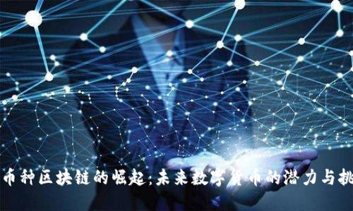 小币种区块链的崛起:未来数字货币的潜力与挑战