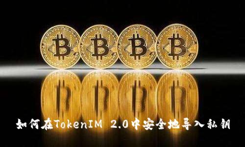 如何在TokenIM 2.0中安全地导入私钥