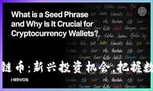 私募的区块链币：新兴投资机会，把握数字资产未来